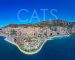 cats monaco
