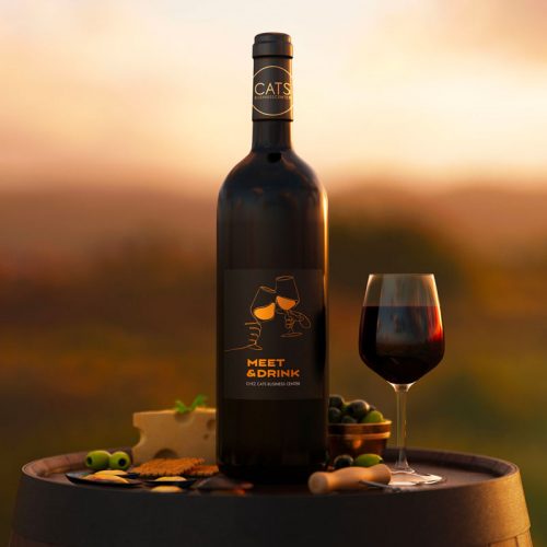 visuel cats meet drink